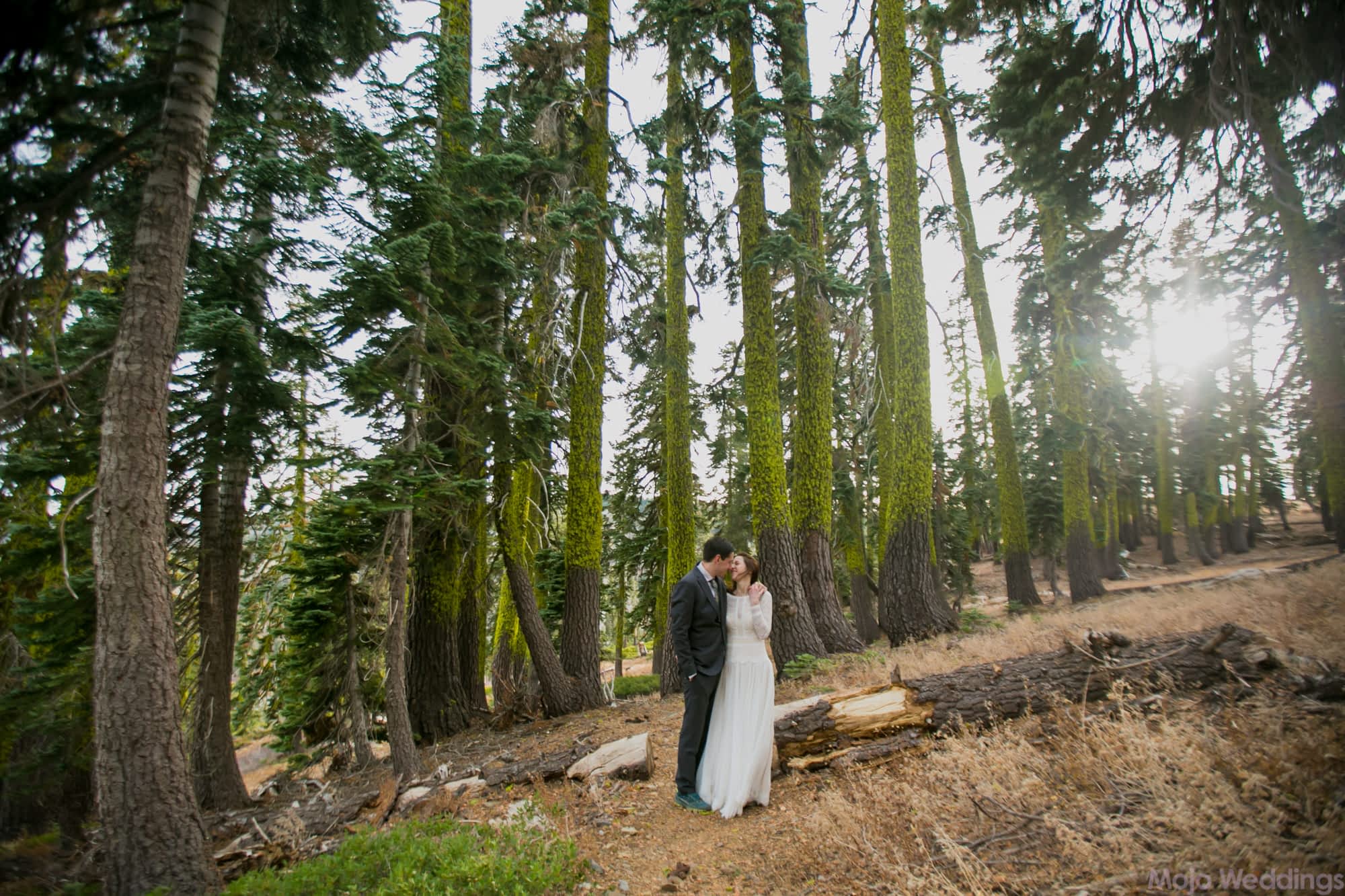 Now in their wedding attire, the bride and groom hold each other in front of moss covered trees and the sun streams in behind them.